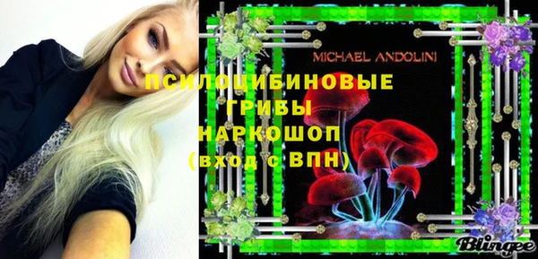 МДПВ Рославль