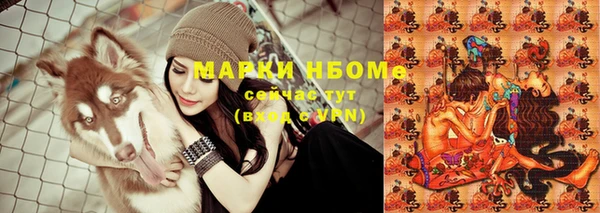 гашик Абинск