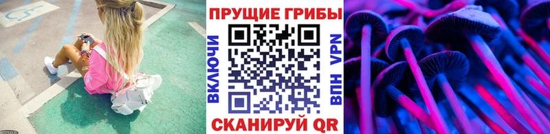 купить   Избербаш  Псилоцибиновые грибы прущие грибы 