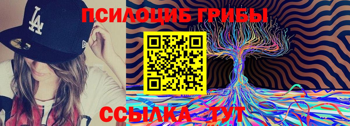 Псилоцибиновые грибы Psilocybine cubensis Избербаш